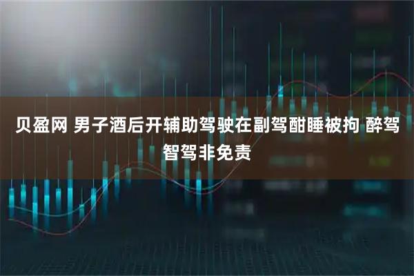 贝盈网 男子酒后开辅助驾驶在副驾酣睡被拘 醉驾智驾非免责
