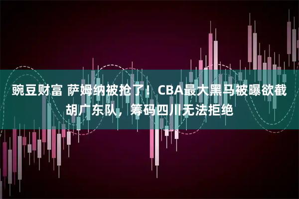 豌豆财富 萨姆纳被抢了！CBA最大黑马被曝欲截胡广东队，筹码四川无法拒绝