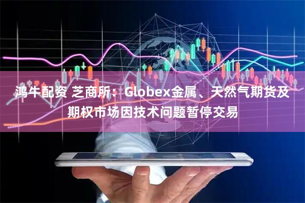 鸿牛配资 芝商所：Globex金属、天然气期货及期权市场因技术问题暂停交易